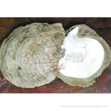 White mother of pearl shell raw material